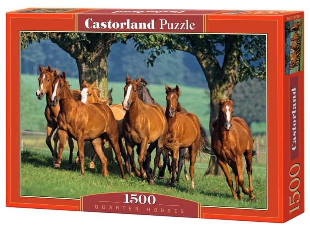 Quarter Horses